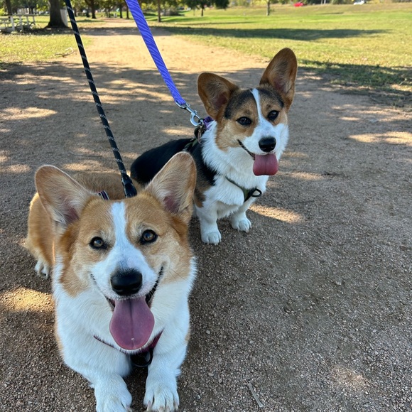 Meet your Posher, Elizabeth Ashley - Picture 1 of 7